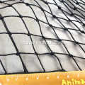 HDPE PP PE Nylon Bird Net untuk Taman